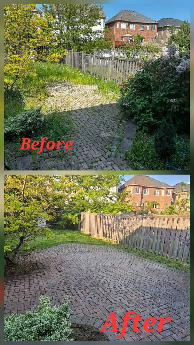 Grass cutting service in Peel and Halton region in Lawn, Tree Maintenance & Eavestrough in Mississauga / Peel Region - Image 9