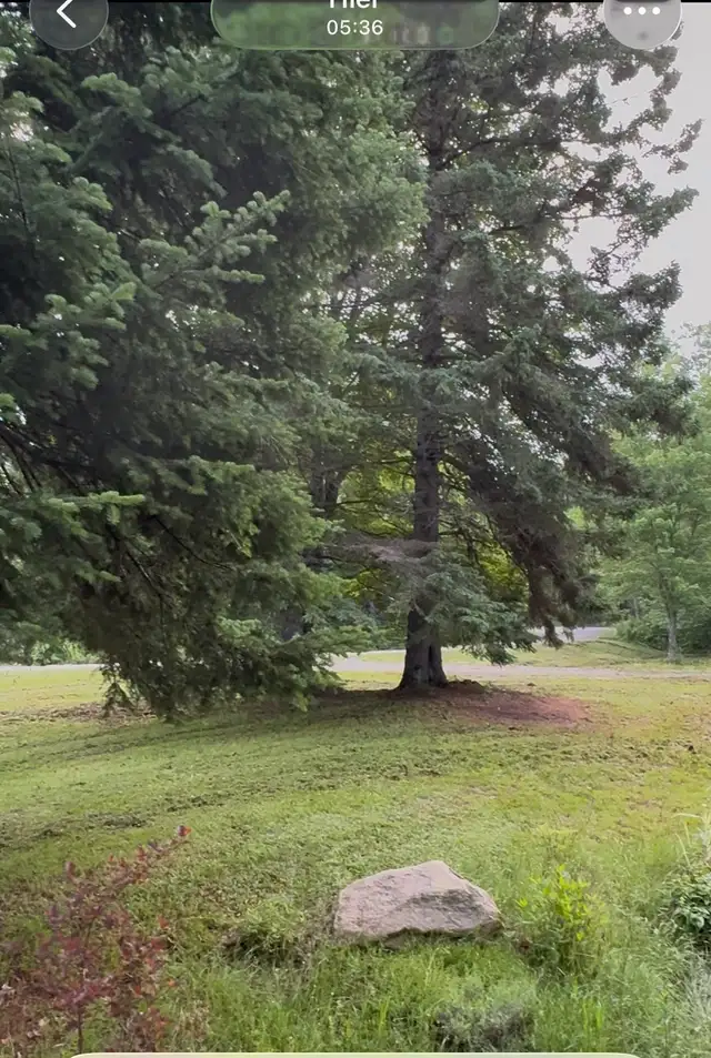 Camping site489520067206850562