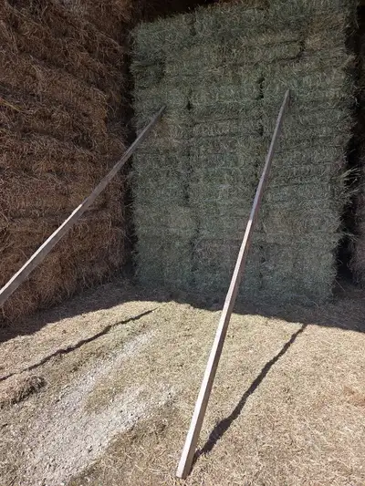 Small square bales. A mix of Alfalfa, Brome and Timothy. $ 5.00 each. Call or text Dean at 204 461 0...