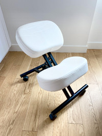 Ergonomic Kneeling Chair - White