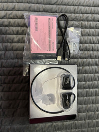Sony Walkman W Series NWZ-W262 Black 2GB Digital Media