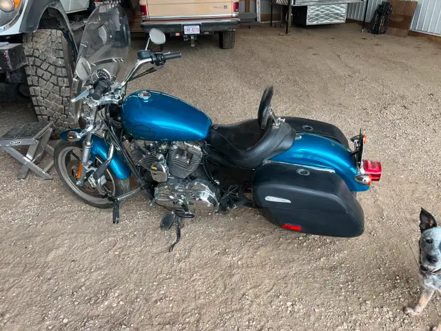 2014 Sportster in Street, Cruisers & Choppers in Red Deer - Image 3