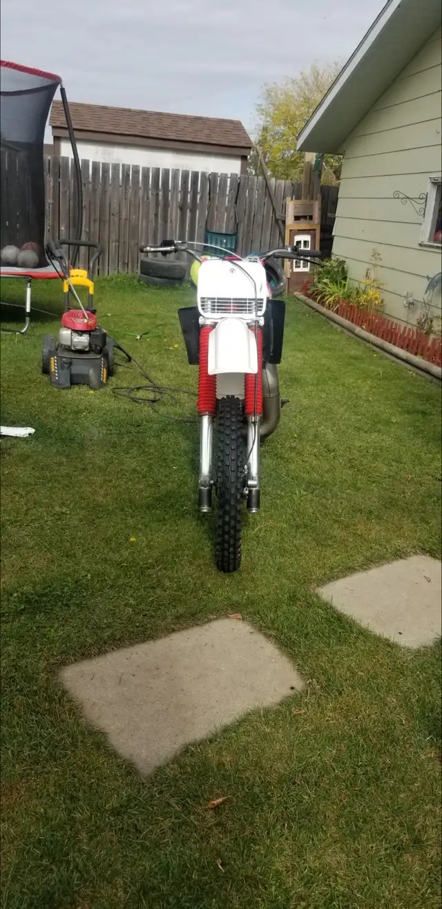 1983 YZ250 in Dirt Bikes & Motocross in Oshawa / Durham Region - Image 6