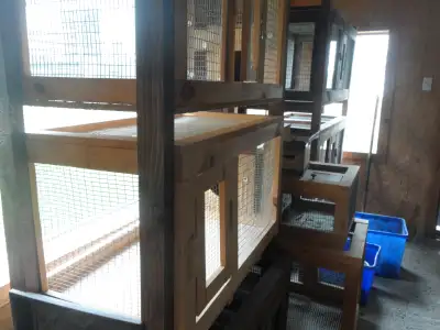 Solid white pine frame with 1" x1/2" mesh. comes with raised mesh floor for cleanout tray or solid f...