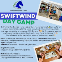 Summer Day Camps at Swiftwind Equine Center, Lyndhurst