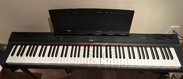 Yamaha Digital Piano P-125 PLUS stand and beginner books! | Pianos &  Keyboards | Oakville / Halton Region | Kijiji