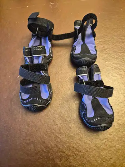 muttluks dog shoes purple, View more