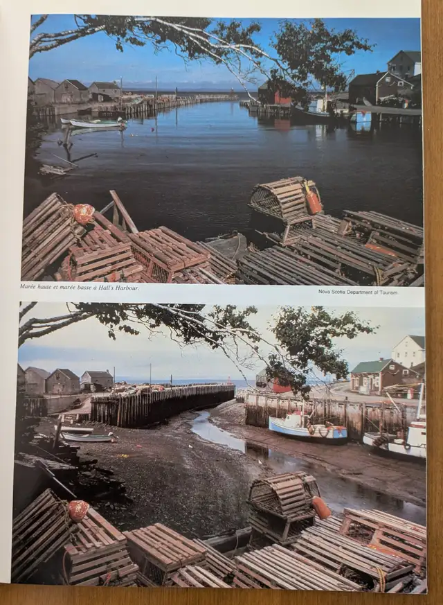 Fundy, The Bay of Fundy Tidal Bore546596716104263682