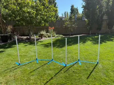 agility equipment , View more