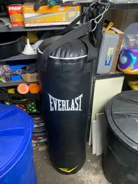 EVERLAST Heavy Bag with Accessories 