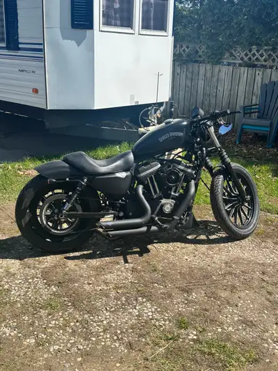 This is a used Harley-Davidson Iron 883, a cool bike with a blacked-out style and minimalist design...