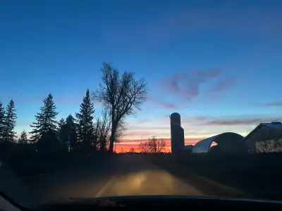 LOOKING FOR HAY FOR SALE $, View more