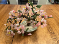 Cherry blossom plant 