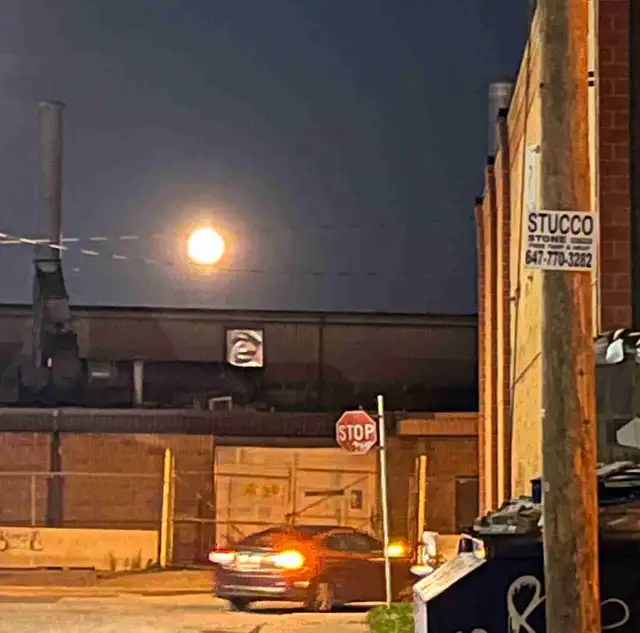 Looking for dumpster diving partner64683916396163120