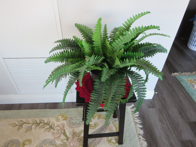 FOR SALE: IMITATION FERN PLUS STURDY STAND in Home Décor & Accents in London - Image 2