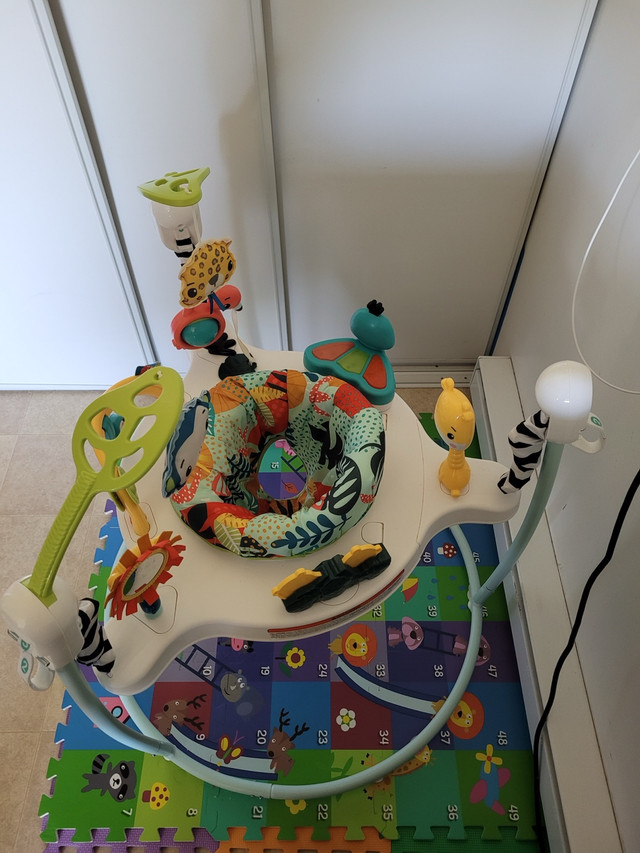 fisher price baby bouncer in Playpens, Swings & Saucers in Ottawa - Image 2