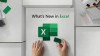 Microsoft Excel, PowerBI, Power Automate, SQL Expert