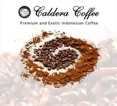 Business Plans and Executive Summary Details , View more