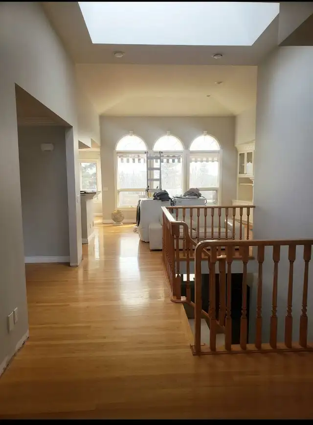 Repair Drywall, Painter