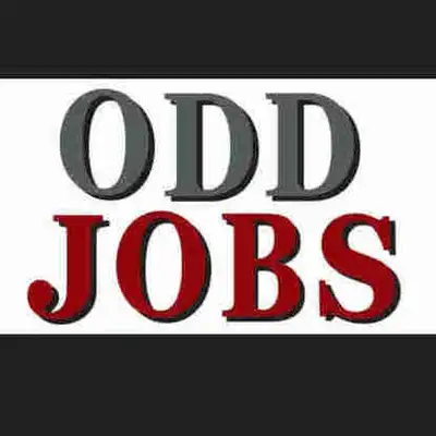 Housework, yard work, eldercare, childcare, petcare, tutoring, cleaning, odd jobs, gardening, cooks,...