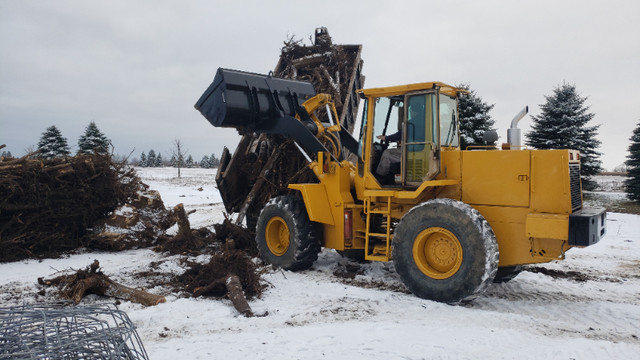 Excavating-Demolition-Land Clearing tree & brush cutting. in Excavation, Demolition & Waterproofing in Guelph - Image 4