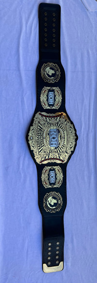 ROH Ring Of Honor World Heavy Championship Replica Tittle belt