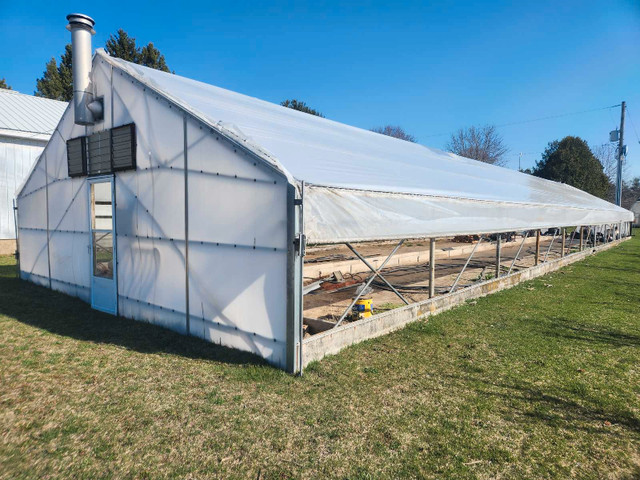 Greenhouse in Plants, Fertilizer & Soil in Norfolk County - Image 2