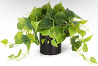 Artificial Plants for Decor, Artificial Plant with Pot 