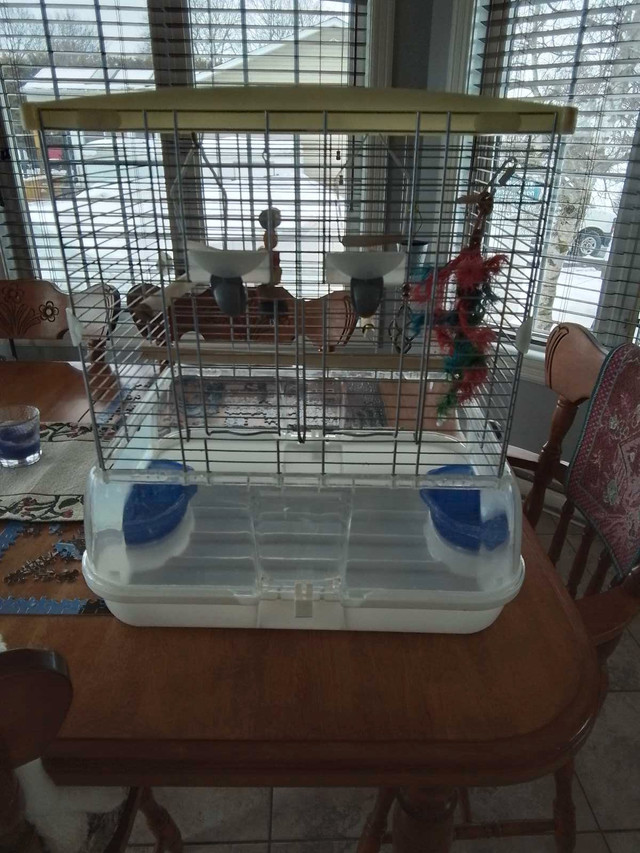 À vendre cage pour oiseaux  dans Oiseaux à adopter  à Saint-Hyacinthe - Image 3