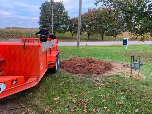 Stump Grinding628637137281291223