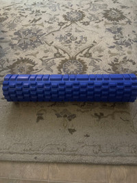 Professional Physicians Back roller 