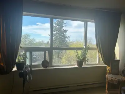 Quiet with a View - August 2 Bedroom - $2,000