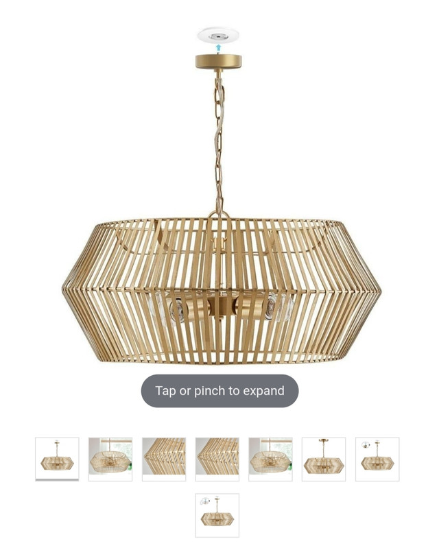 Austin allen hanging pendant light  in Indoor Lighting & Fans in Markham / York Region