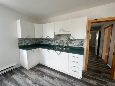 logement a louer 4 1/2  deux chambres