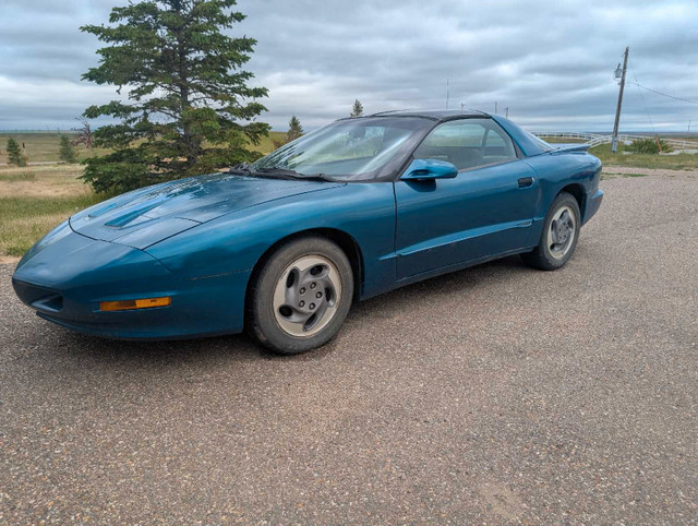Firebird in Cars & Trucks in Medicine Hat