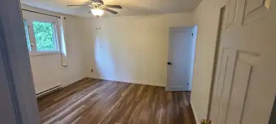 Dog-Loving Roommate Wanted