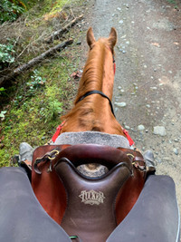 Tucker Gen 11 endurance saddle