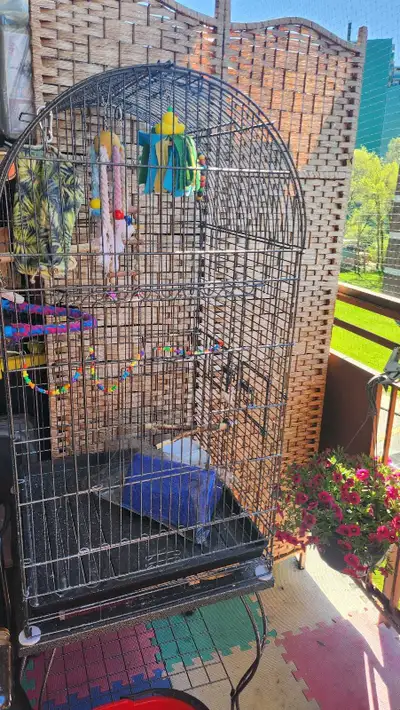 large bird cage, View more