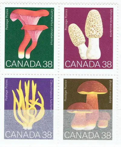 CANADA. SET DE 4 TIMBRES "CHAMPIGNONS/MUSHROOMS"., View more