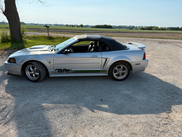 2004 anniversary edition convertible mustang in Cars & Trucks in Leamington - Image 2