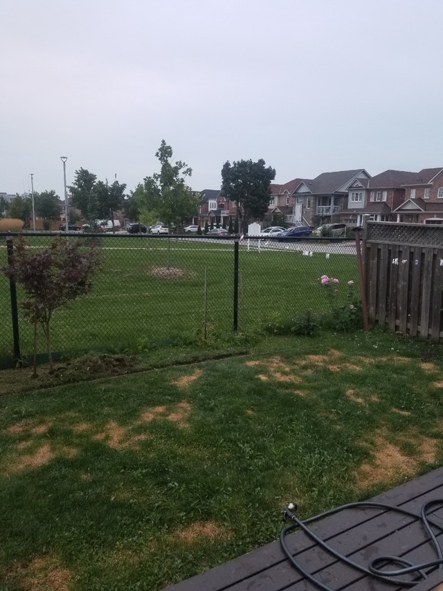 House room rental Room Rentals & Roommates Markham / York Region