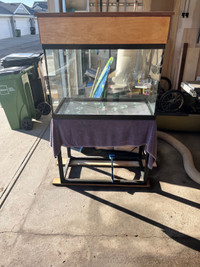 65 Gallon Tall aquarium with custom metal stand. Canopy included