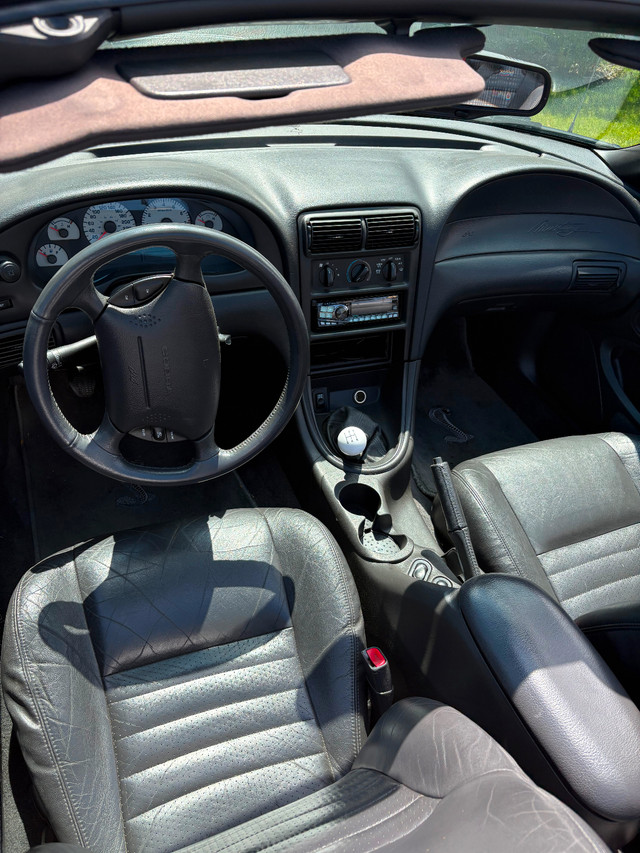 1999 Mustang SVT Cobra Convertible in Cars & Trucks in Hamilton - Image 4