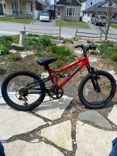 Great bike. Gears and brakes are tuned. Tires pumped. Some minor rust spots but that’s only cosmetic...