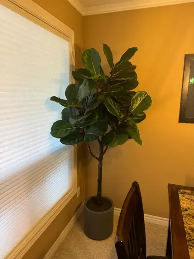 Brand new condition and stands about 6-1/2 feet tall. Very life like. With base/planter. Retails at...