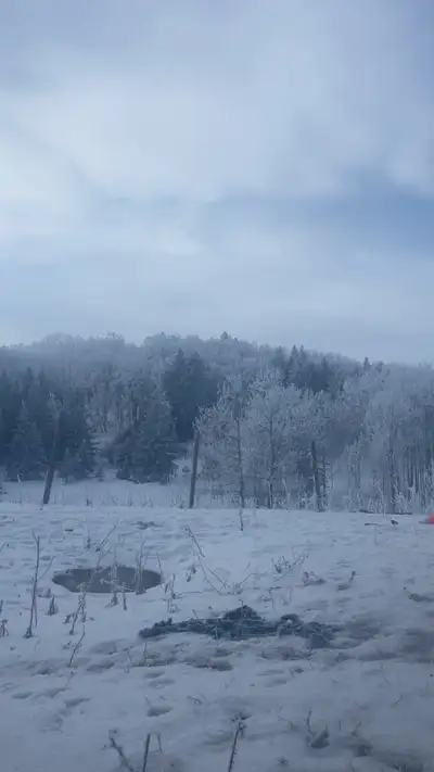 labourer looking for work, View more