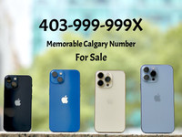 UNBELIEVABLE Calgary phone numbers 403-999-999X for sale