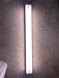 4” fluorescent light assembly