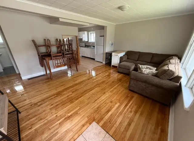 NEW 5-6 BEDROOM- CARLETON U - ALGONQUIN- CARLETON HEIGHTS- MAY 1