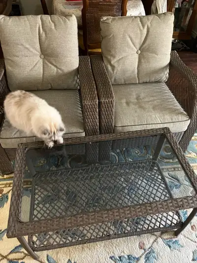 patio set /elect BBQ is $125, View more